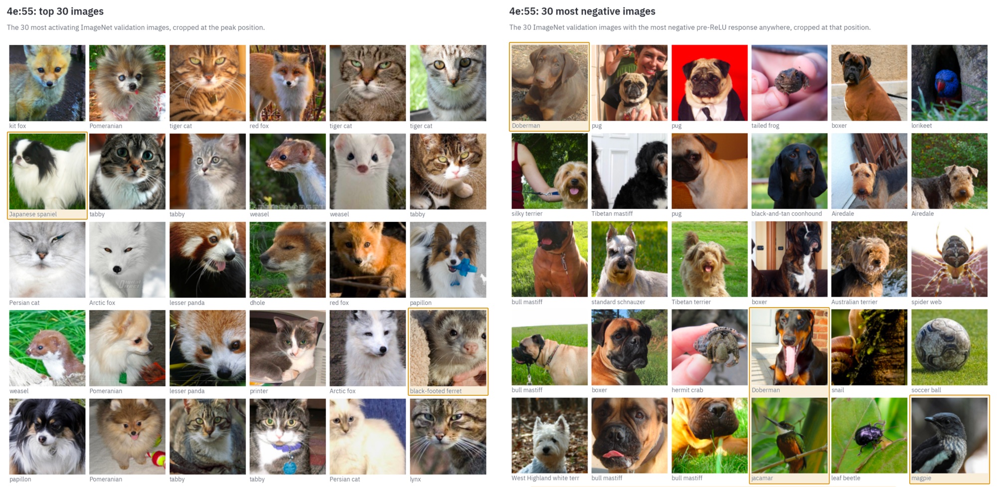 Grids of the 30 most activating and 30 most negative ImageNet validation images for 4e:55. The top images are mostly animal faces such as foxes, cats, Pomeranians and weasels; the most negative images include pugs, boxers, mastiffs and a jacamar.