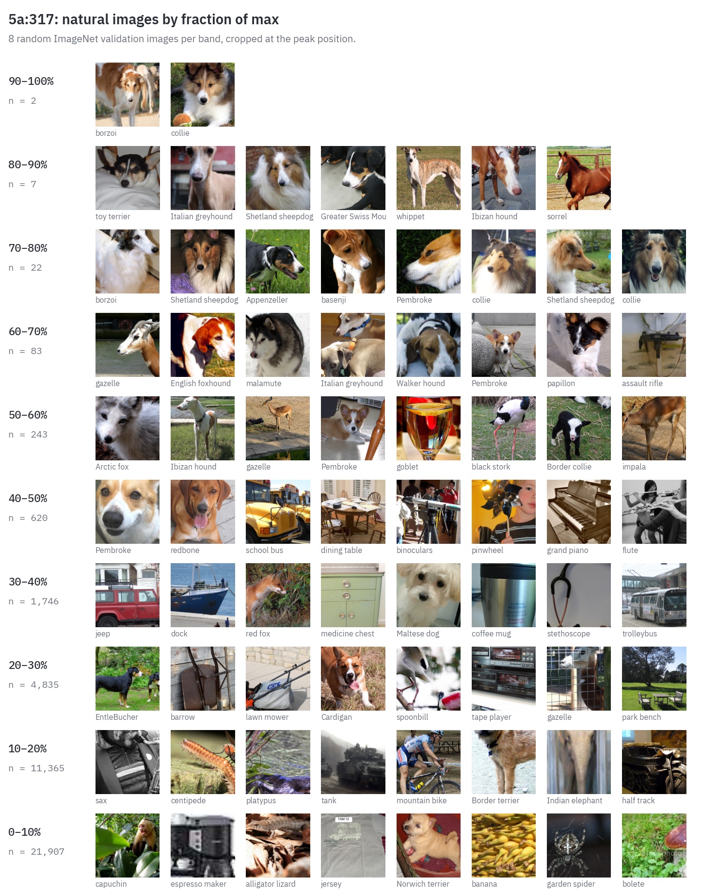 Natural ImageNet images for 5a:317 grouped into bands by fraction of max activation. Top bands are dogs such as borzois, collies and greyhounds; lower bands include a goblet, school bus, piano and other objects.