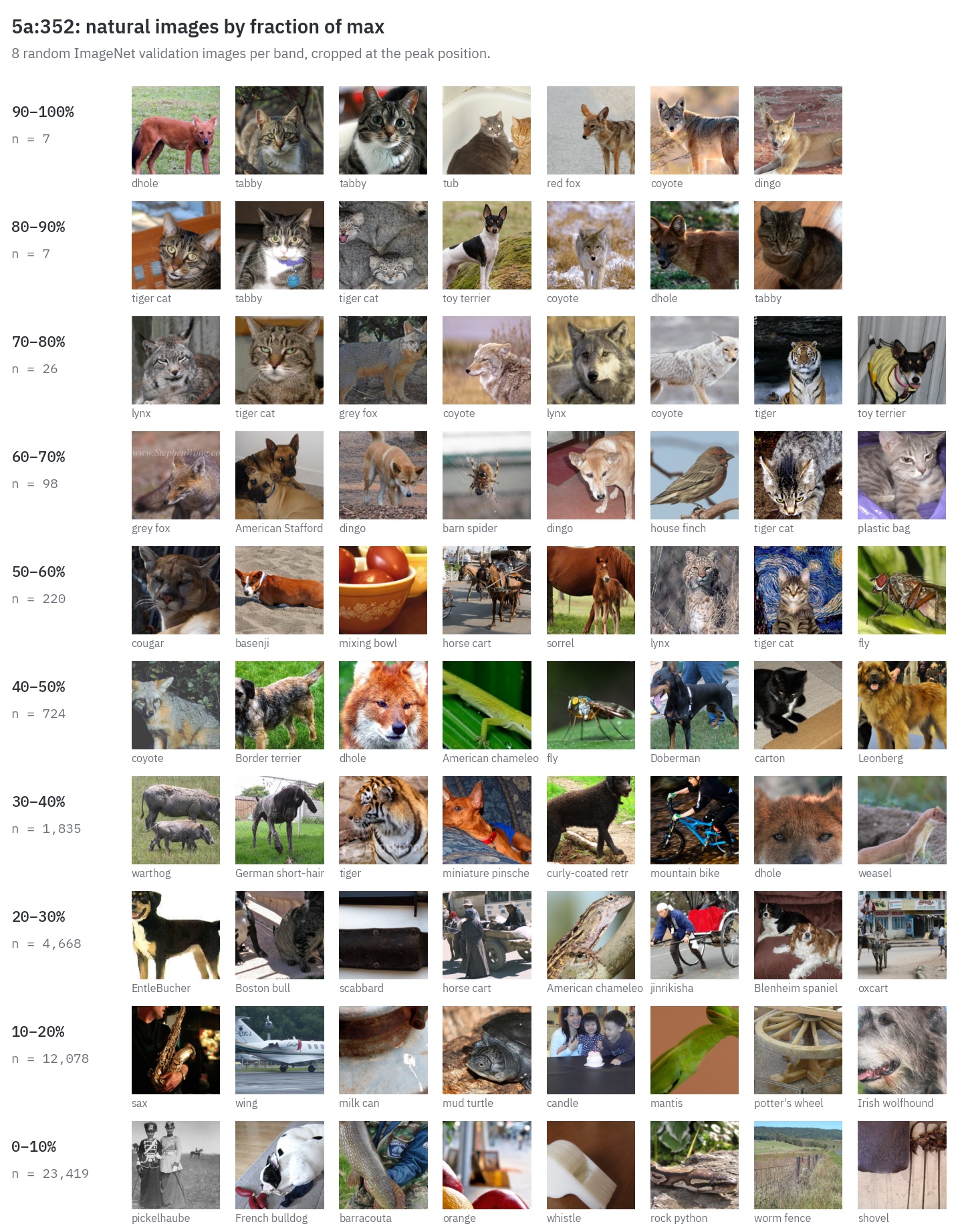 Natural ImageNet images for 5a:352 grouped into bands by fraction of max activation.