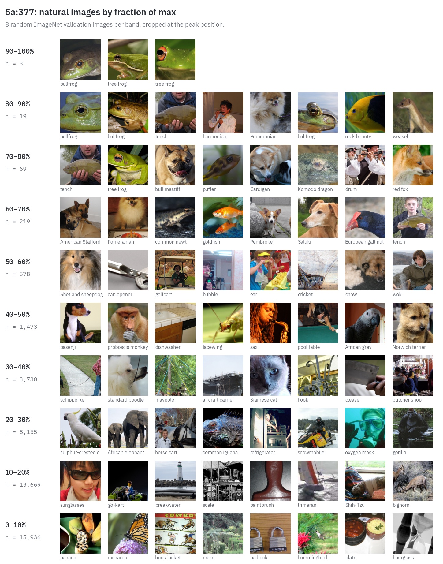 Natural ImageNet images for 5a:377 grouped into bands by fraction of max activation.
