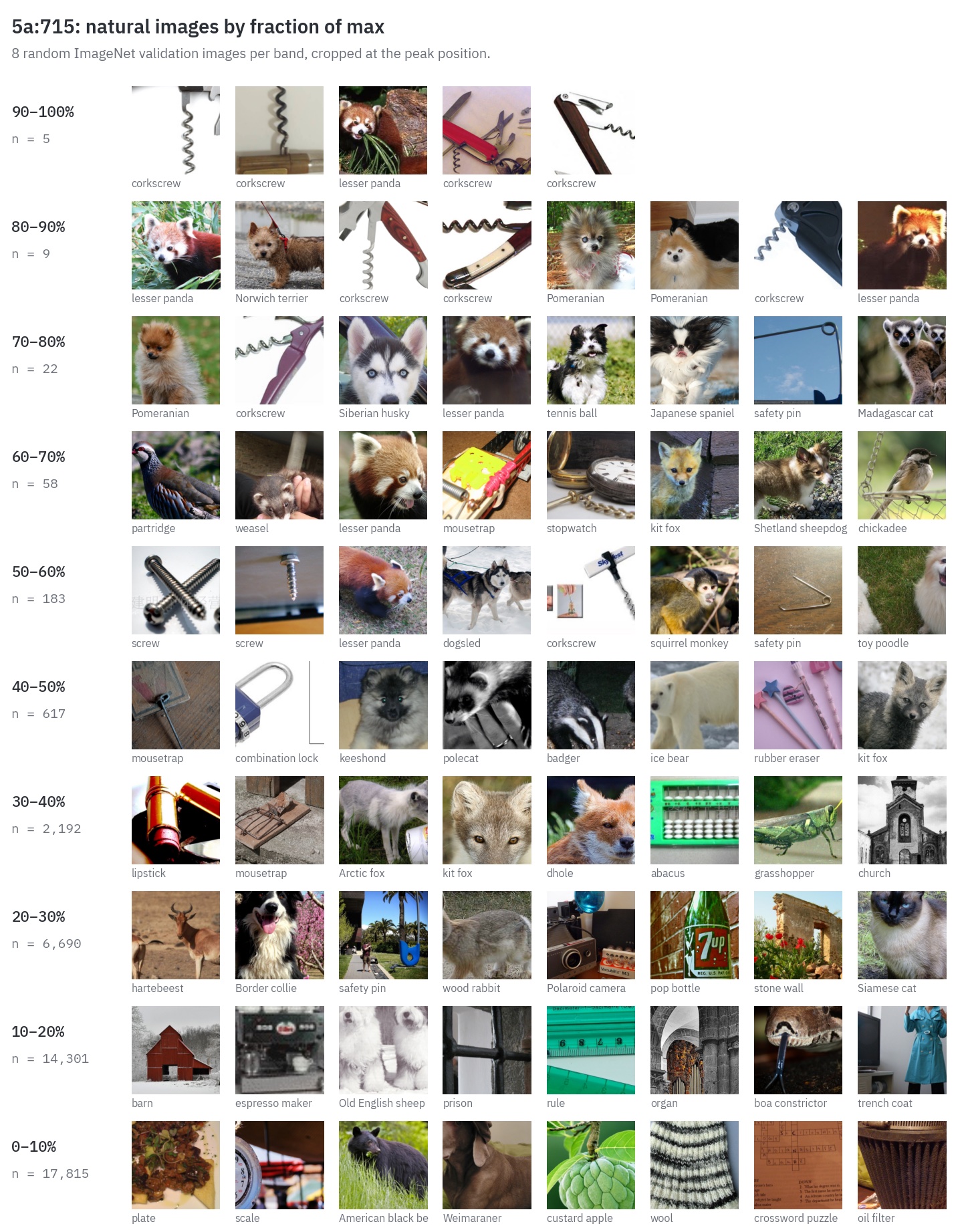 Natural ImageNet images for 5a:715 grouped into bands by fraction of max activation. Top bands mix corkscrews with lesser pandas and Pomeranians; lower bands include screws, safety pins, foxes and other animals.