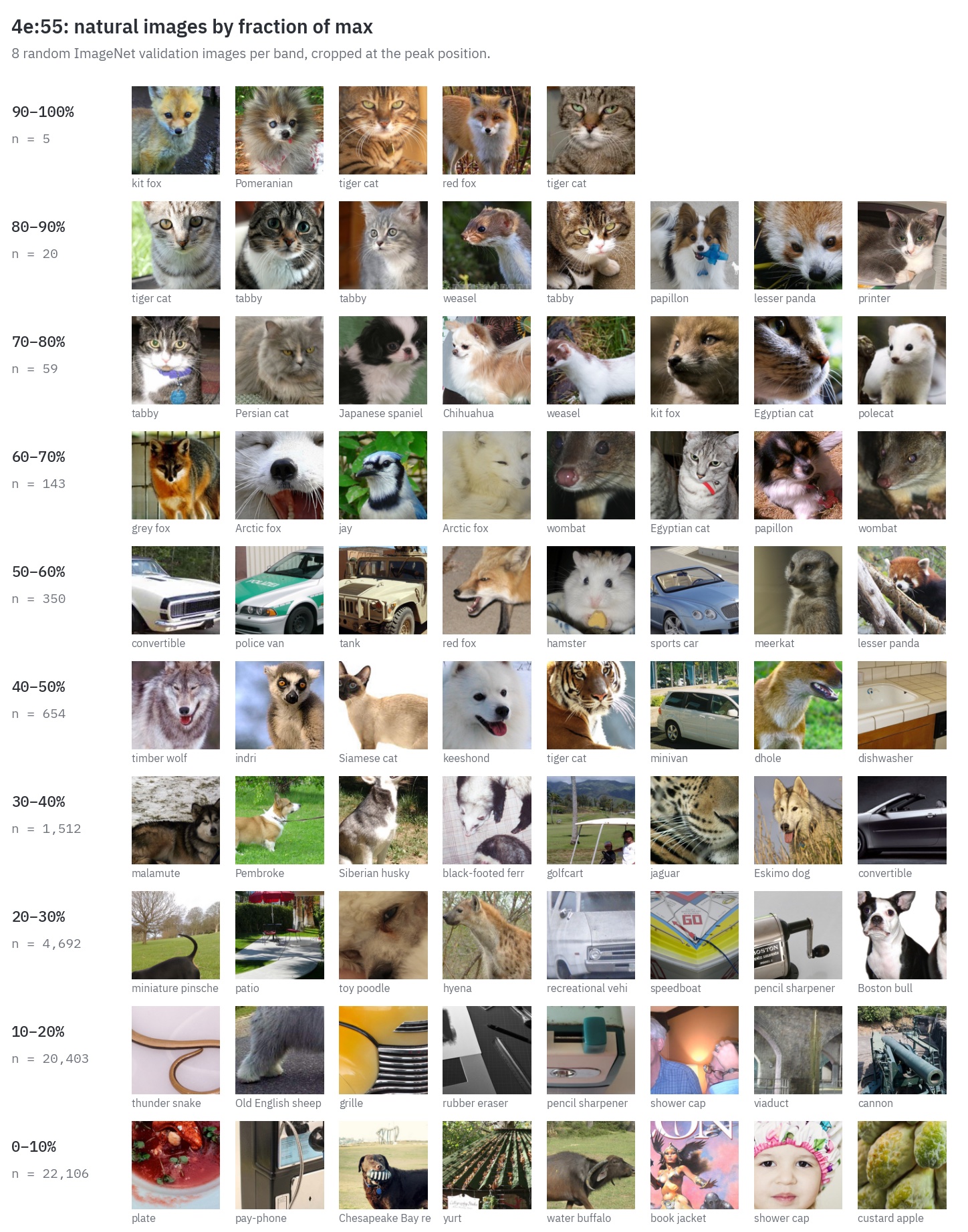 Natural ImageNet images for 4e:55 grouped into bands by fraction of max activation, showing animal faces at the top and cars appearing in lower bands.